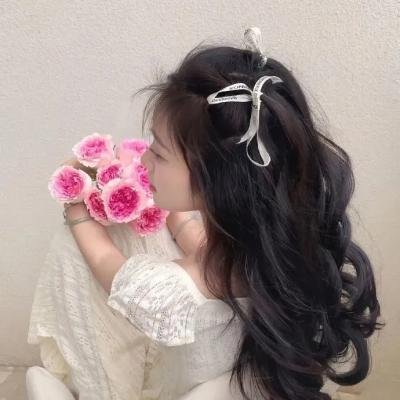 克里姆林宫的魔术师海报
